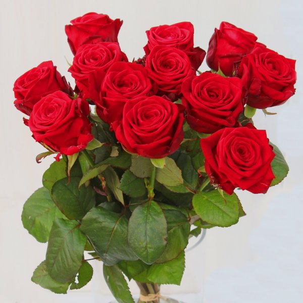 Strauß mit roten Rosen, langstielig klassisch ohne Beiwerk Bild 1